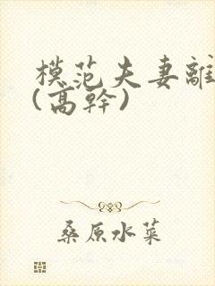 模范夫妻离婚了(高干)