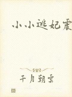 小小逃妃震江山