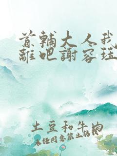 首辅大人我们和离吧谢容珏