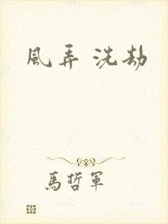 风弄 洗劫