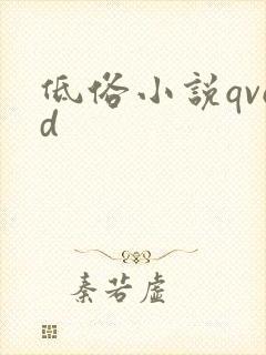 低俗小说qvod