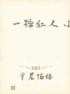 一号红人 小说