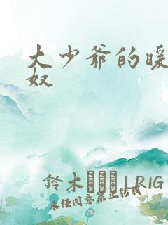 大少爷的暖床小奴