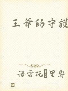 王爷的守护男妃