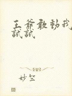 王爷敢动我妈咪试试