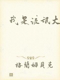 我是流氓大律师