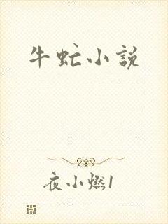 牛虻小说