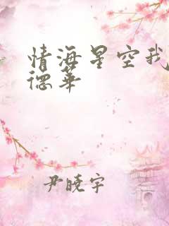 情海星空我与刘德华