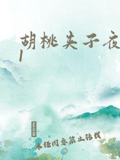 胡桃夹子夜未眠1