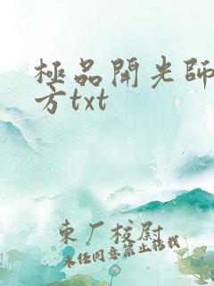 极品开光师李南方txt