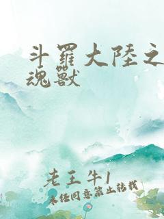 斗罗大陆之最强魂兽