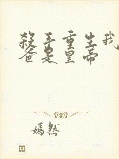 杀手重生我的老爸是皇帝