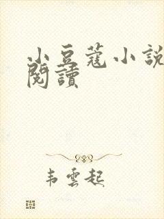 小豆蔻小说全文阅读