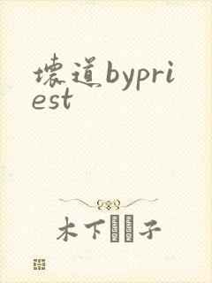 坏道bypriest