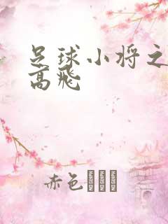 足球小将之展翅高飞