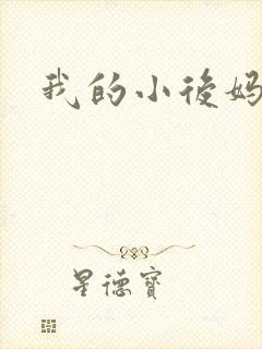 我的小后妈小说