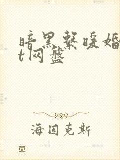 暗黑系暖婚txt网盘