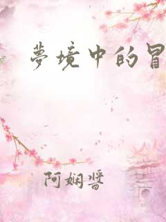 梦境中的冒险家