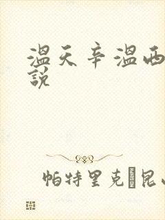 温天辛温西离小说