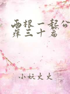 两根一起公憩止痒三十篇