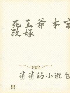 死王爷 本宫已改嫁
