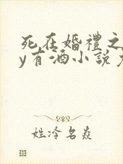 死在婚礼之前by有酒小说免费阅读