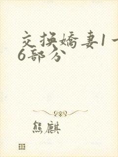 交换娇妻1一36部分
