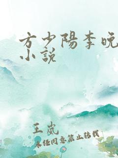 方少阳李晚晴的小说