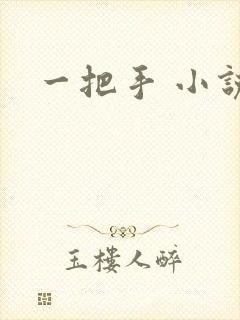 一把手 小说