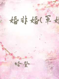 婚非婚(军婚)