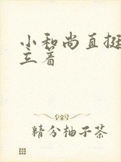 小和尚直挺挺的立着