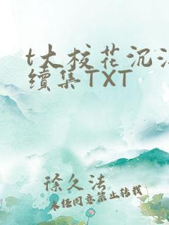 t大校花沉浮录续集TXT