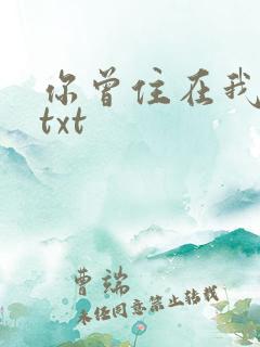 你曾住在我心上txt