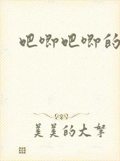 吧唧吧唧的进出