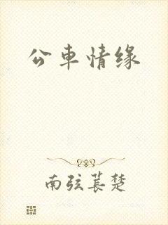 公车情缘