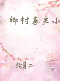 乡村春光小说