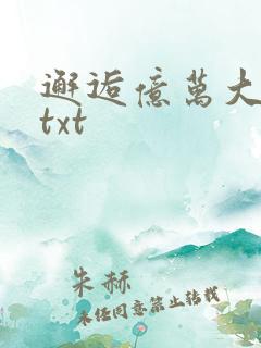 邂逅亿万大人物txt