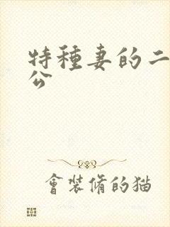 特种妻的二手老公