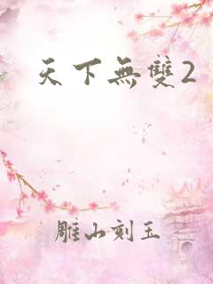 天下无双2