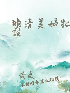 明清美妇牝户小说