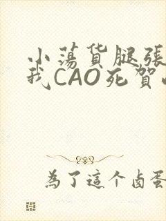 小荡货腿张开让我CAO死贺峻霖