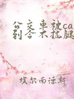 公交车被cao到合不拢腿视频