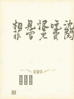 相见恨晚沈浩秦菲雪免费阅读