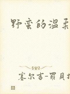 野蛮的温柔