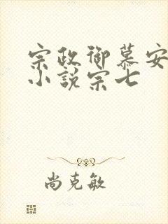 宗政御慕安安的小说宗七