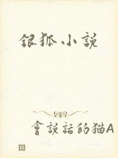 银狐小说