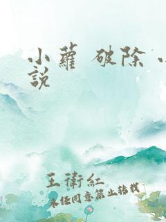 小萝 破除 小说