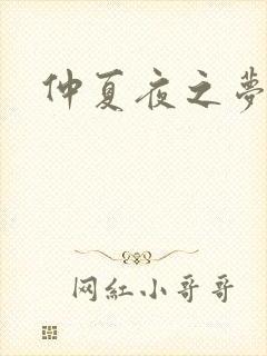 仲夏夜之梦小说