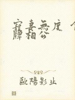 宠妻无度  金牌相公