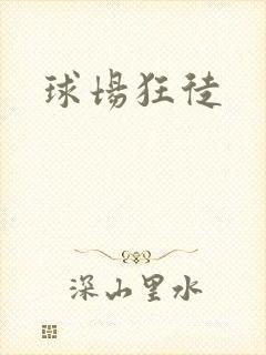 球场狂徒